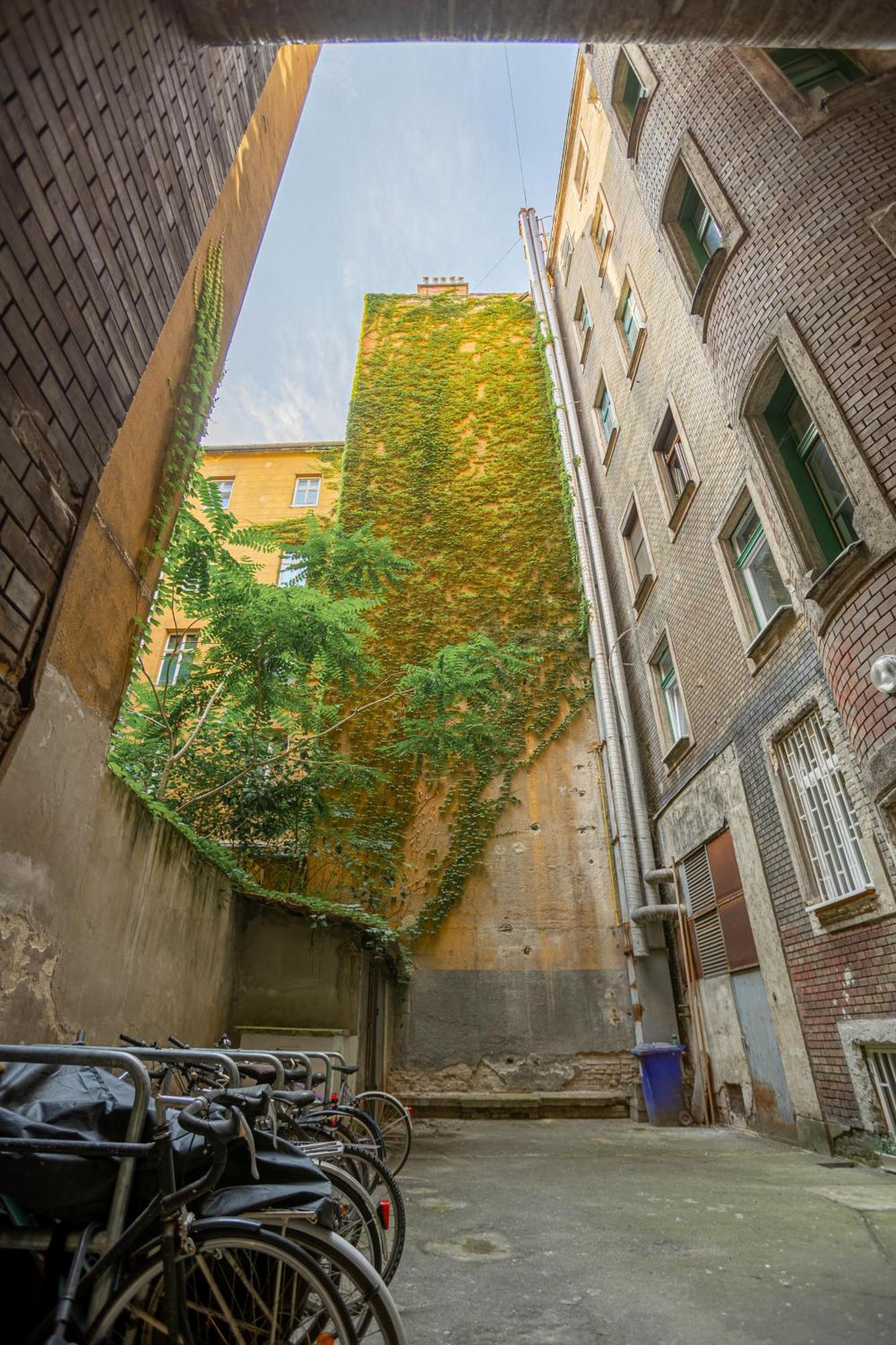 Velvet Vista Apartment Budapest Eksteriør bilde